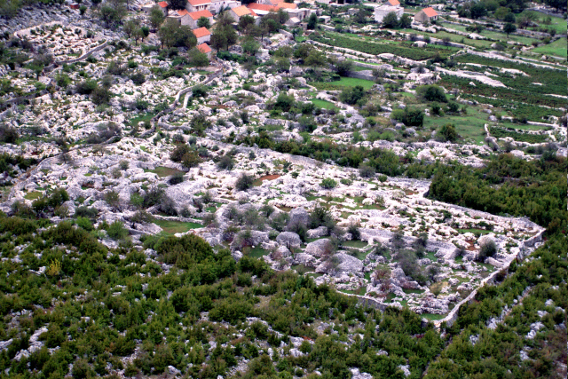 Ovo je djelo ljudskih ruku. Ante (Antić) Dajak je išao u Ameriku i kad se vratio rekao je: „Ovdje je Amerika“ i uhvatio se mašklina. Nakon nekog vremena imao je 100 barila vina. On i njegovi susjedi Dajaci i Babaići izgradili su umjetničko djelo.